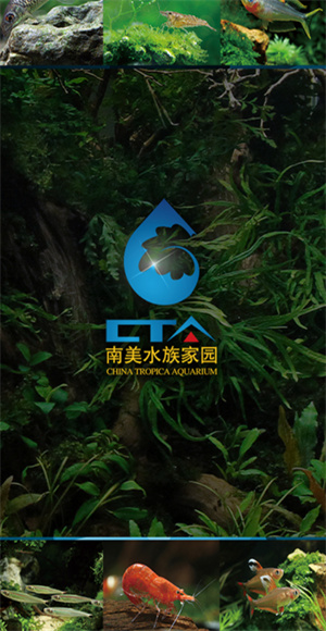 南美水族家园截图3