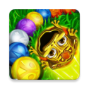 Frog Zuma