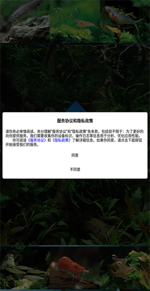 南美水族家园