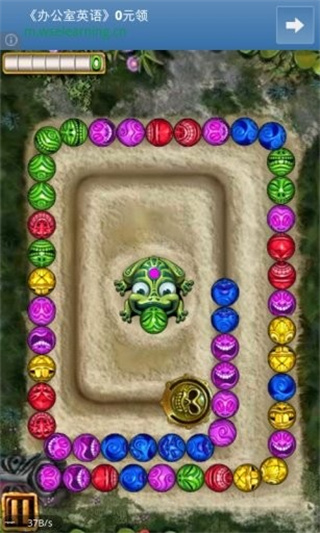 Frog Zuma