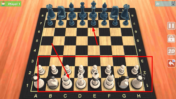 国际象棋大师