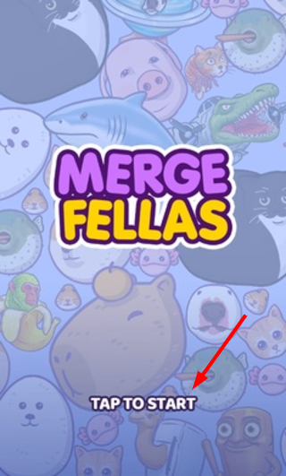 Merge Fellas