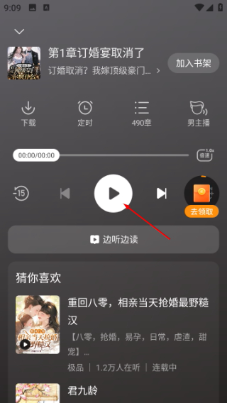 刺槐小说