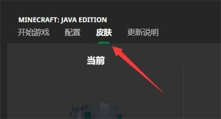 skinseed中文版截图4