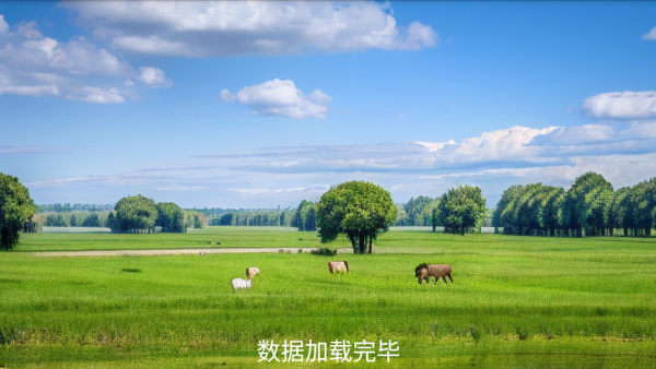 剧迷宝TV手机版下载