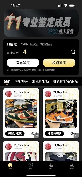 鉴定师T1鉴定