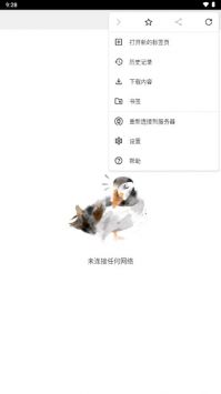 puffin浏览器安卓版截图1
