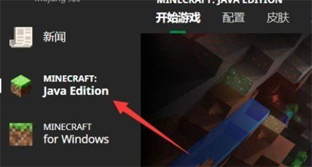 skinseed中文版截图3