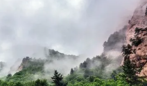 毛毛子视频免费版下载 毛毛子视频免费版下载