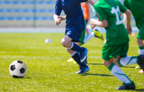 阿尔法球app手机版下载