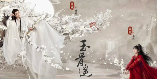 洛克视频app去广告