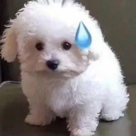 云小川影视最新版下载安装