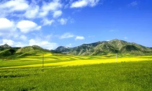 简单追剧官方软件下载 简单追剧官方软件下载