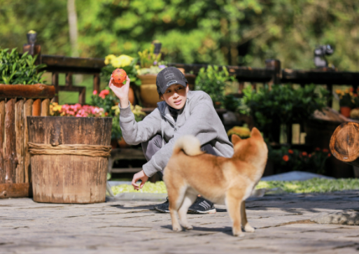 美益达影视app安卓最新版下载安装 美益达影视app安卓最新版下载安装
