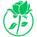 零洞app