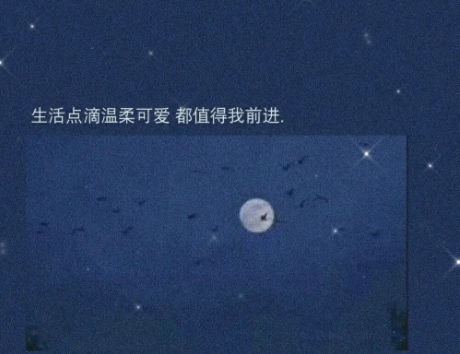 凉笙版am软件2023最新版 凉笙版am软件2023最新版