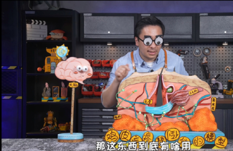 青桃视频app手机最新版下载 青桃视频app手机最新版下载