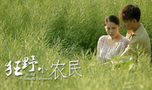 贝壳短剧软件下载手机版