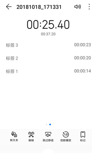 腕上录音app无广告版截图3