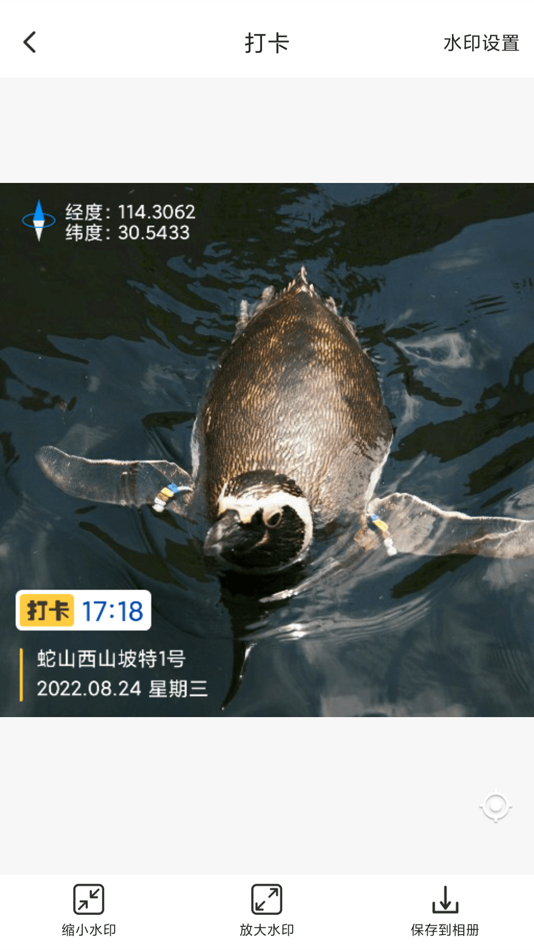 打卡定位app安卓版下载截图2