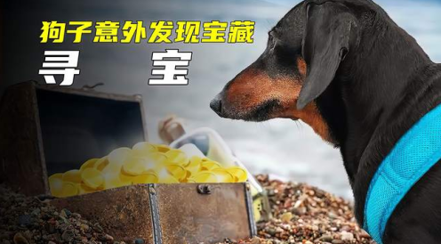 好看视频极速版官方下载最新版安装2023