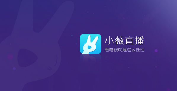 小薇纯净版最新版下载