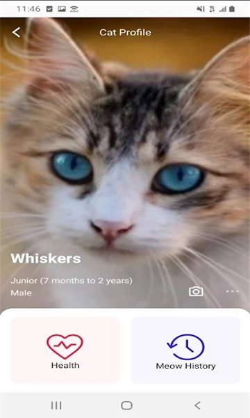 喵说meowtalk2023最新版截图2