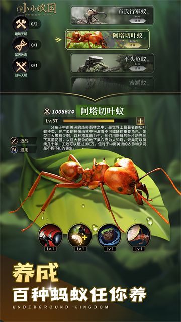 小小蚁国37版本截图1