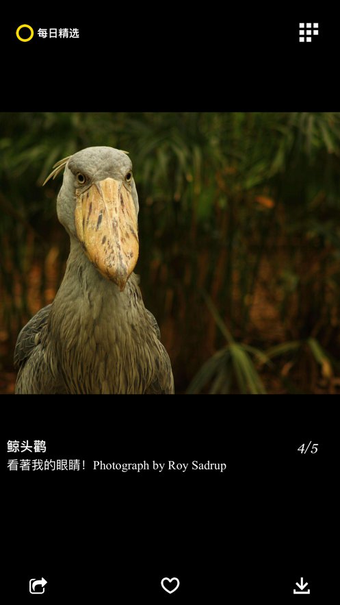 每日精选截图3