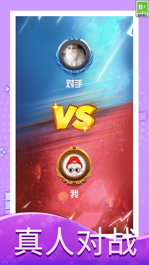 俄罗斯方块大作战截图2