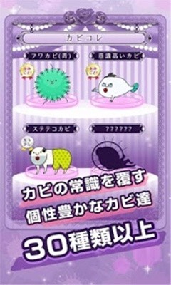 污部屋的姬手游截图2
