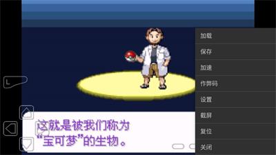 口袋妖怪永恒纪元内置作弊版截图2