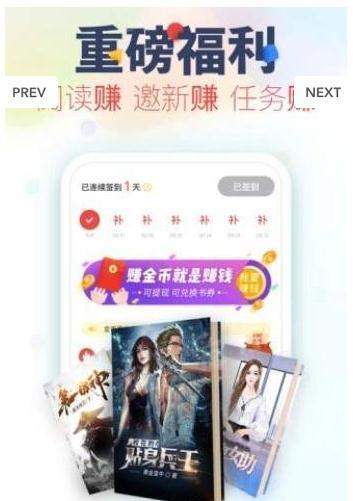 浪人小说截图3