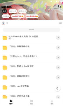 倾城软件库.apk截图2