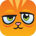 拯救猫咪