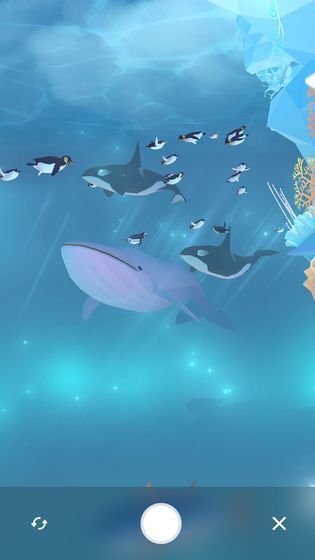金多多水族馆app领红包截图1