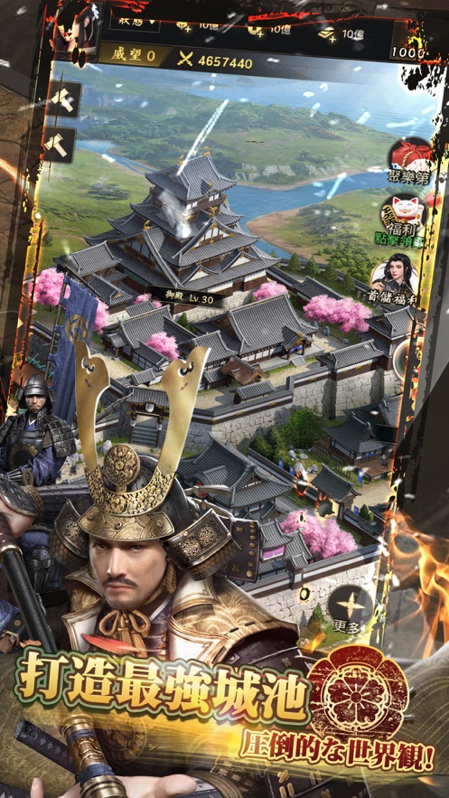 霸王之野望截图2
