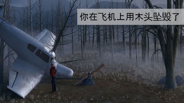 迷失森林中文版截图2