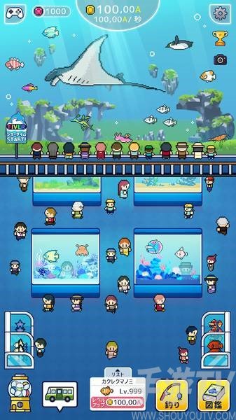 迷你水族馆