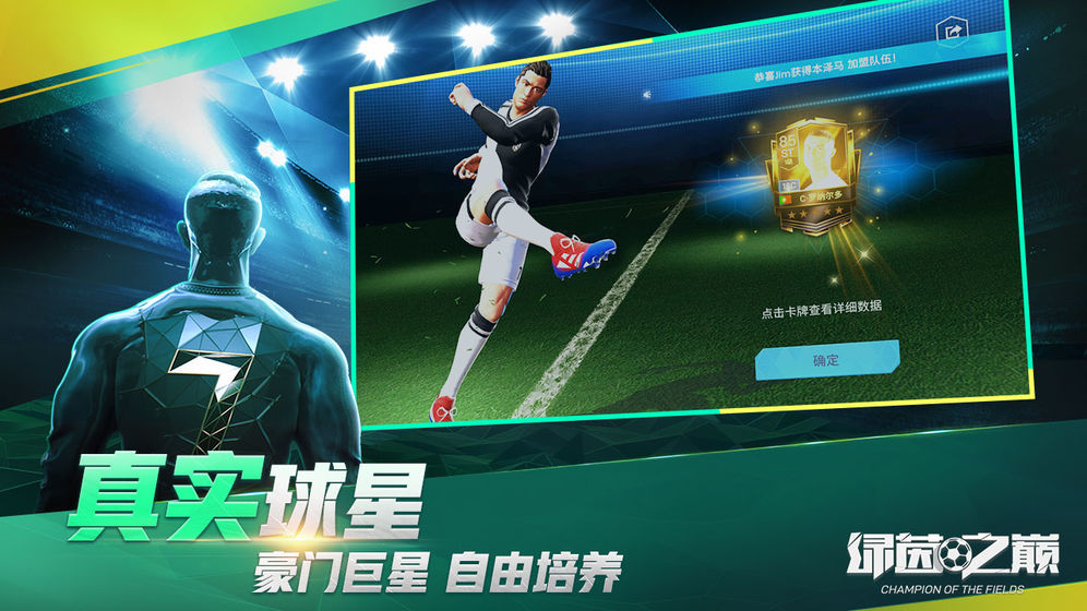绿茵之巅手机版截图1