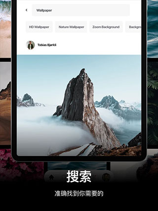 Pexels素材网站截图2