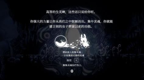 空洞骑士截图3