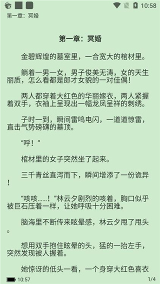 掌民小说免费截图3