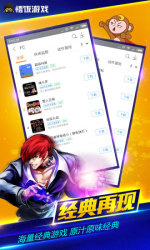悟饭游戏厅nds模拟器截图2