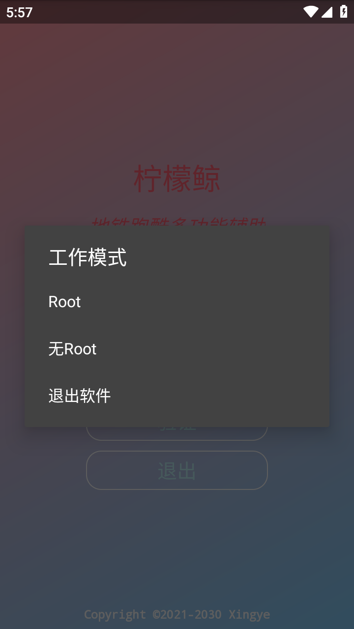 地铁跑酷柠檬鲸悬浮窗截图3