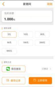 豪猪网截图1
