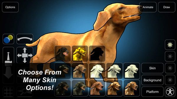 模拟忠犬截图2