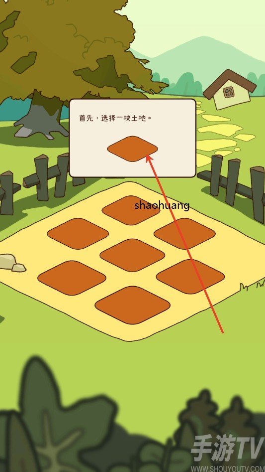 有机蔬菜农场