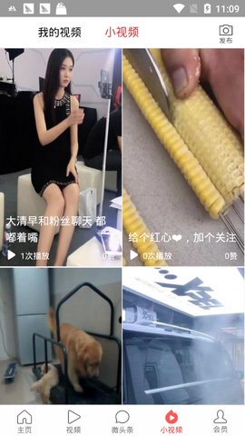 多米头条截图1