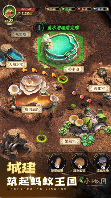 小小蚁国37版本截图3